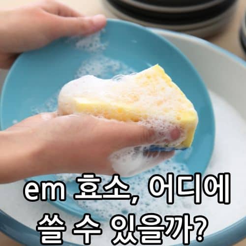 em 효소
