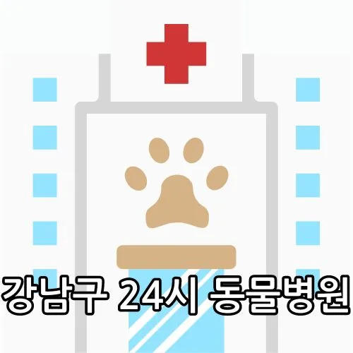 강남구 24시 동물병원 관련 썸네일