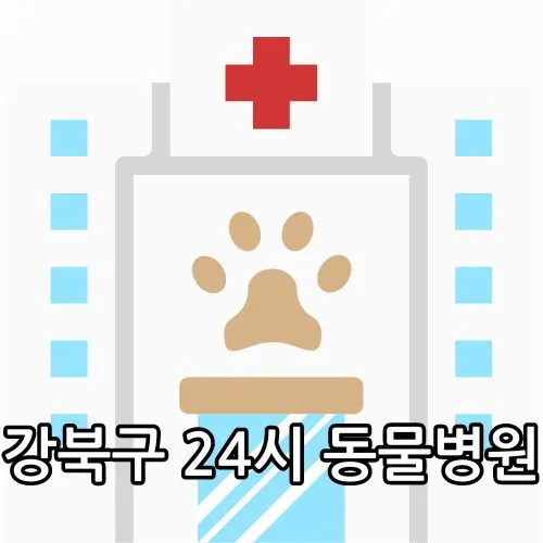 강북구 24시 동물병원 관련 썸네일