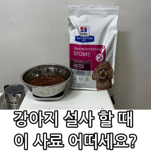 강아지 설사 할 때