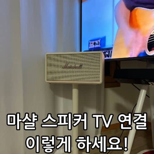 마샬 스탠모어 TV 연결