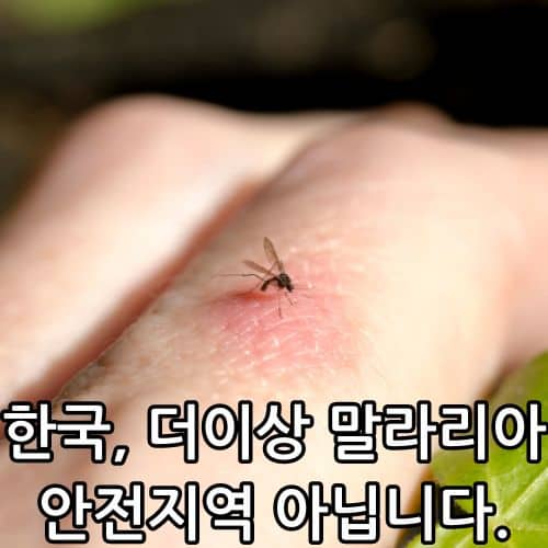 말라리아 모기 물리면