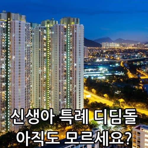 신생아 특례 디딤돌