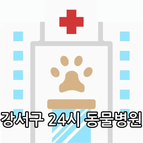 강서구 24시 동물병원 관련 썸네일