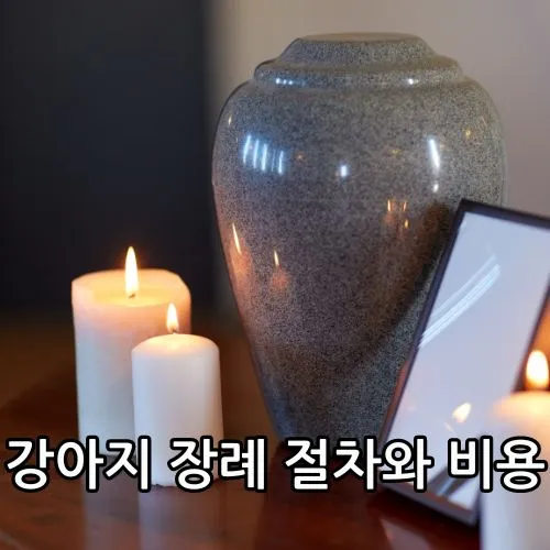 강아지 장례 관련 유골함 사진