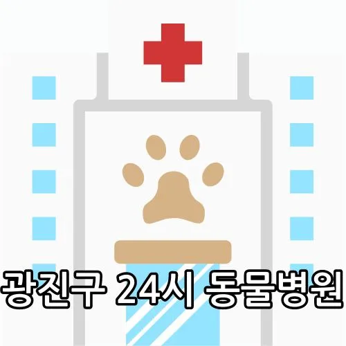 광진구 24시 동물병원 관련 썸네일