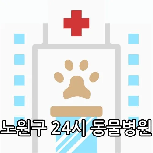 노원구 24시 동물병원 관련 썸네일