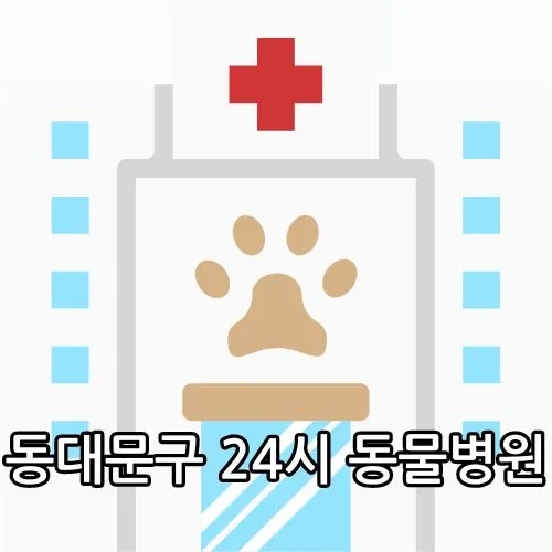 동대문구 24시 동물병원 관련 썸네일