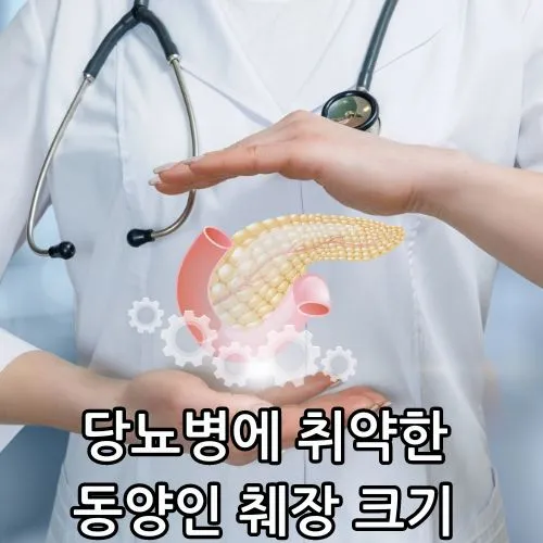 동양인 췌장 모형 들고 있는 사진