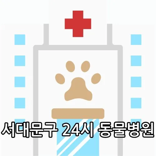 서대문구 24시 동물병원 관련 썸네일
