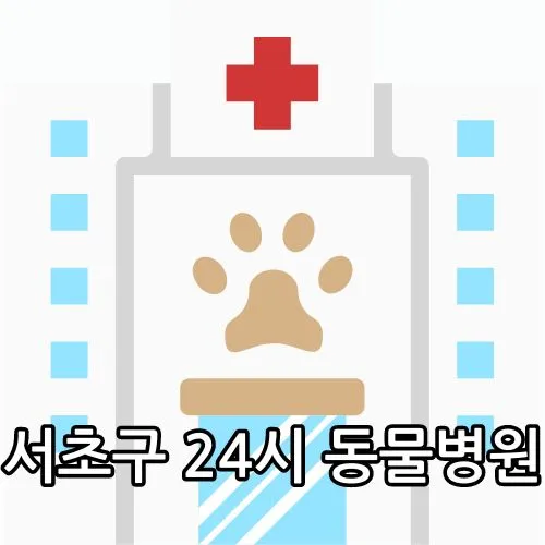 서초구 24시 동물병원 관련 썸네일