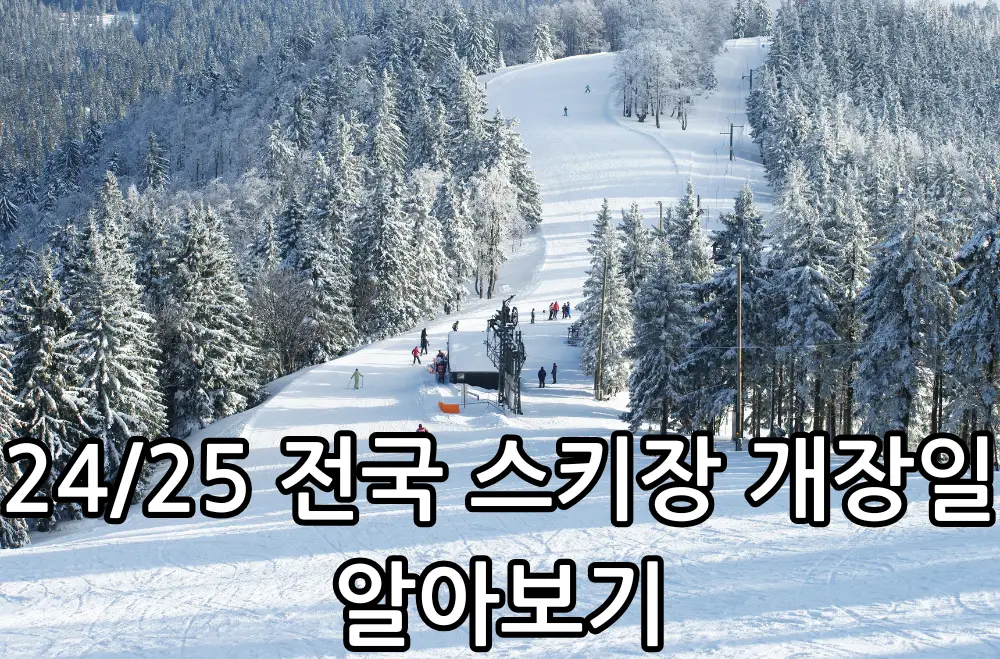 24/25 전국 스키장 개장일 관련 썸네일