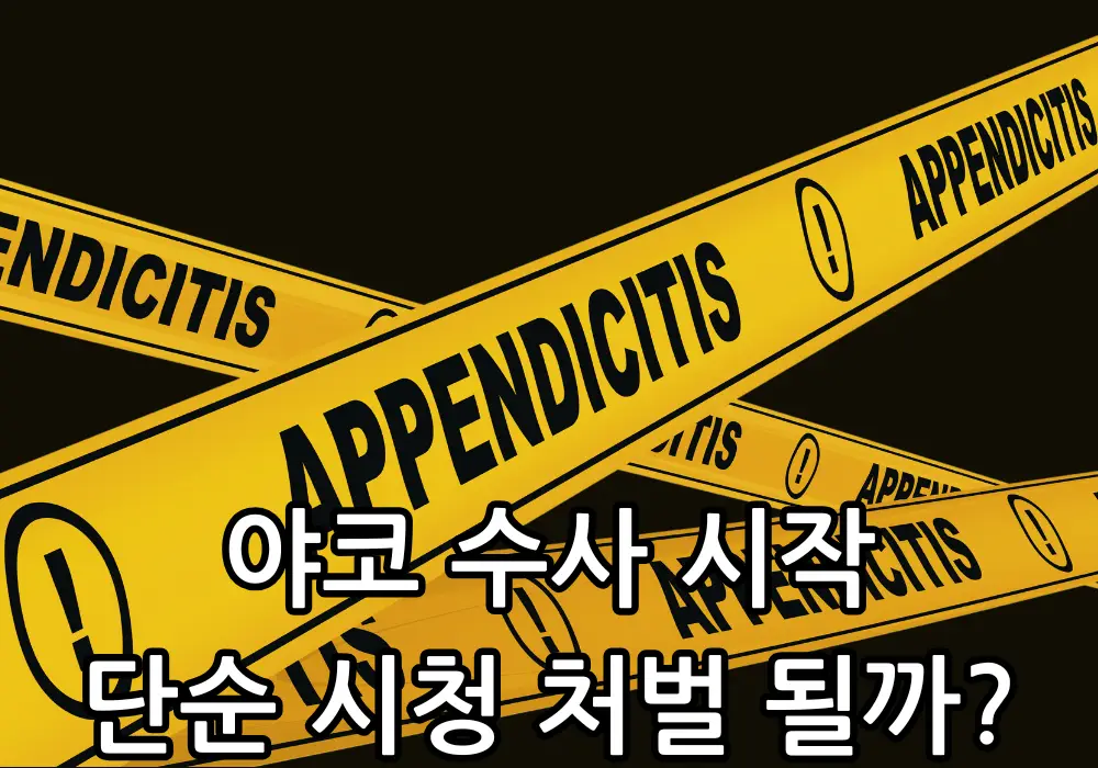 야코 시청 처벌 관련 썸네일