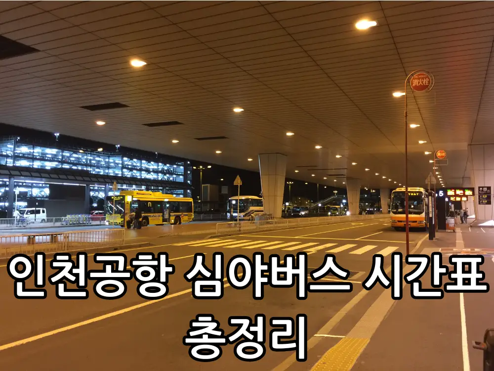 인천공항 심야버스 시간표 관련 썸네일