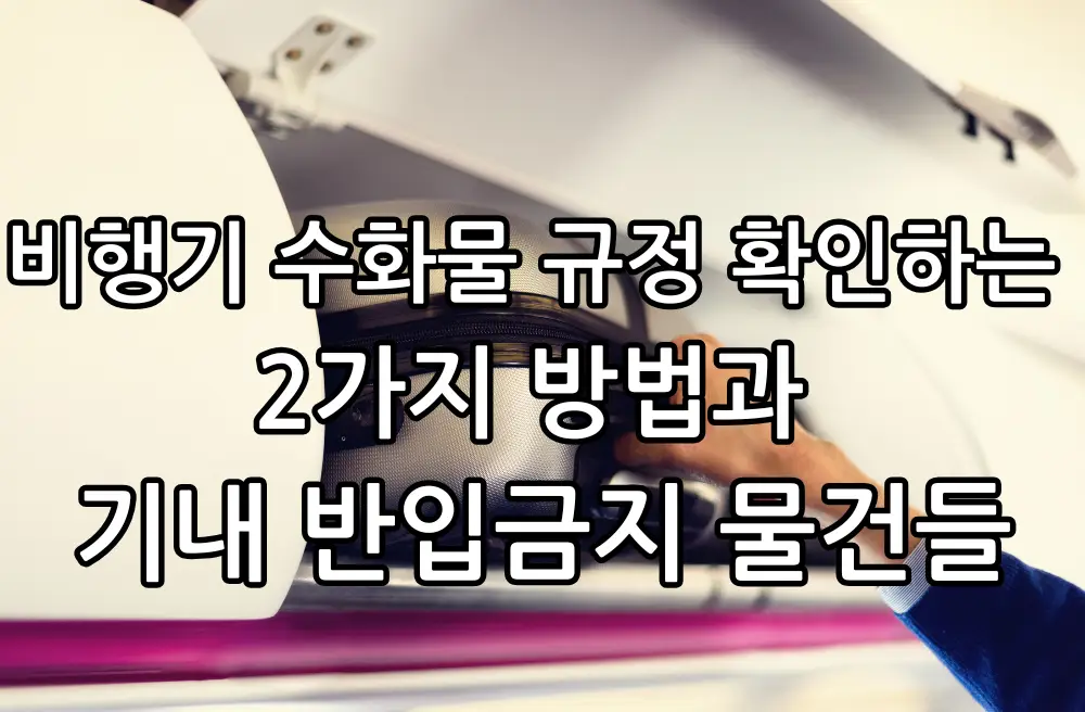 비행기 수화물 규정 확인 방법 관련 썸네일