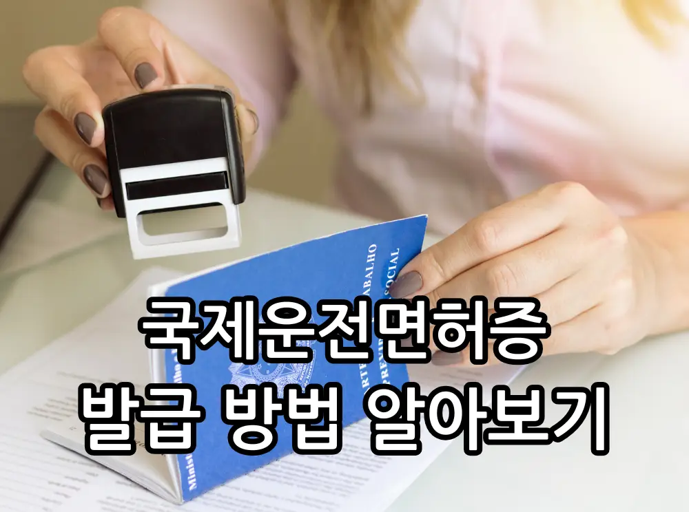 국제운전면허증 당일 발급 방법 관련 썸네일