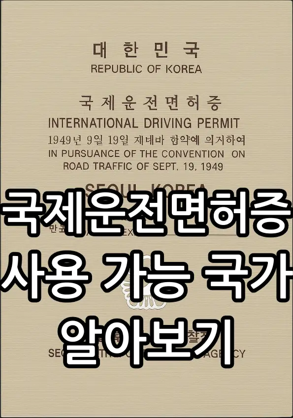 국제운전면허증 사용 가능 국가 관련 썸네일