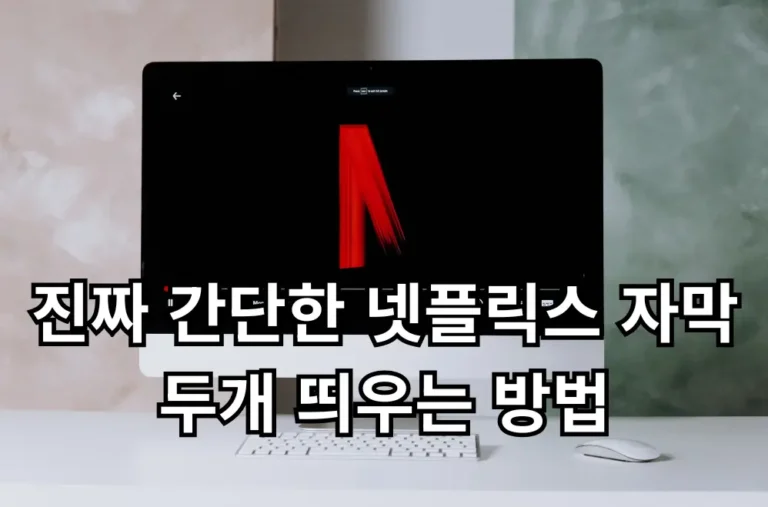 넷플릭스 자막 두개 관련 썸네일